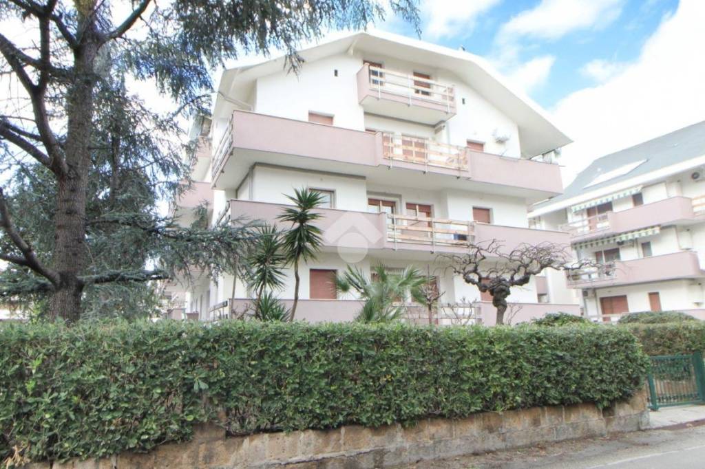 immagine annuncio 13 di 14