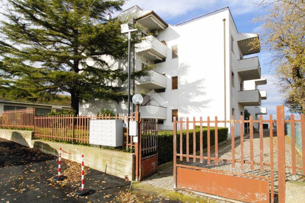 immagine annuncio 13 di 14