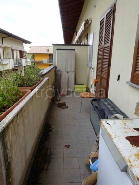 immagine annuncio 5 di 11