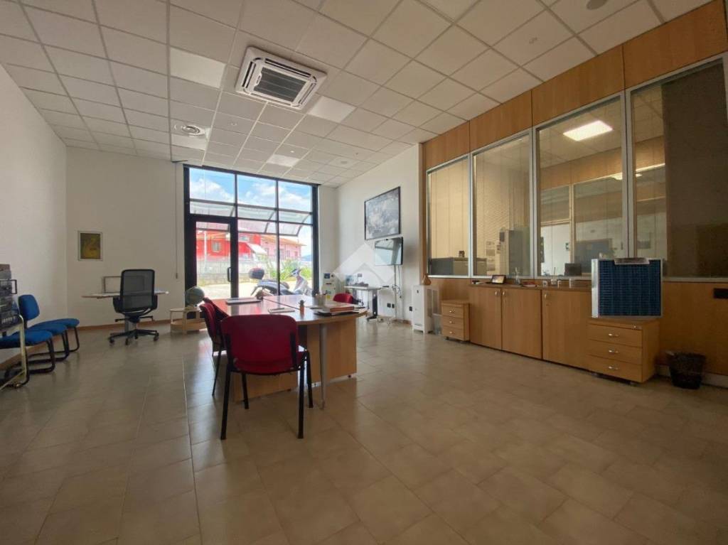 immagine annuncio 1 di 12