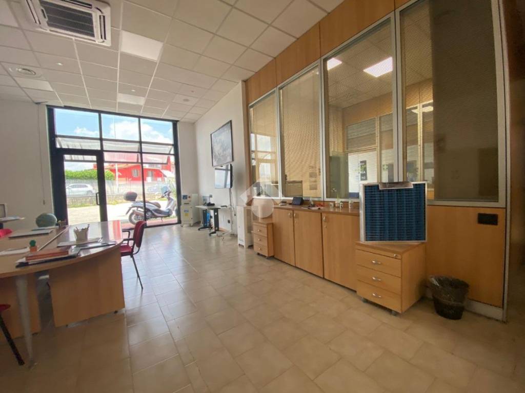 immagine annuncio 2 di 12