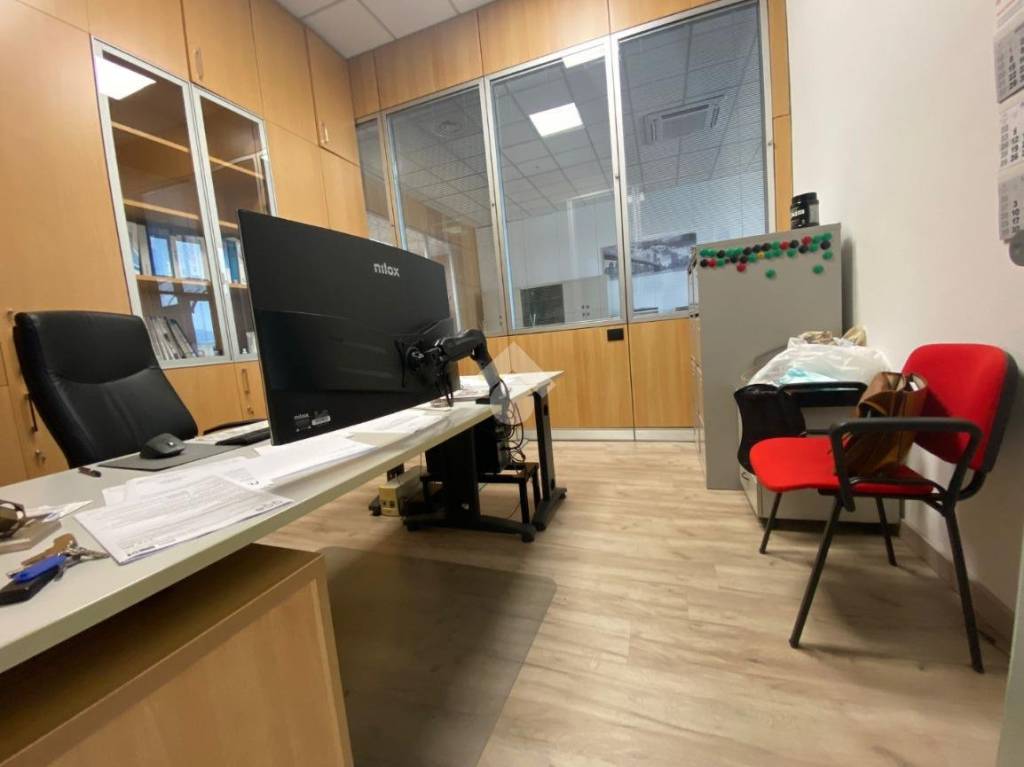 immagine annuncio 6 di 12