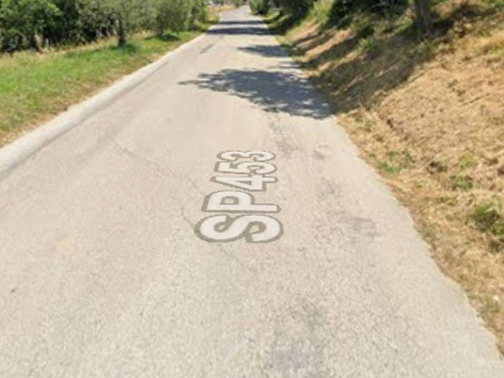 immagine annuncio 9 di 12