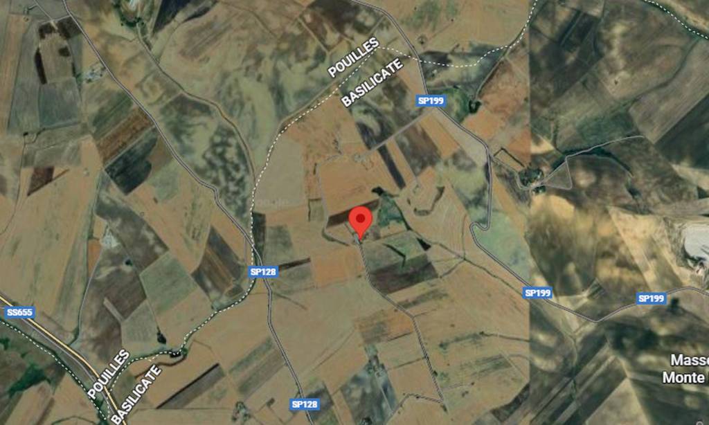 immagine annuncio 5 di 11