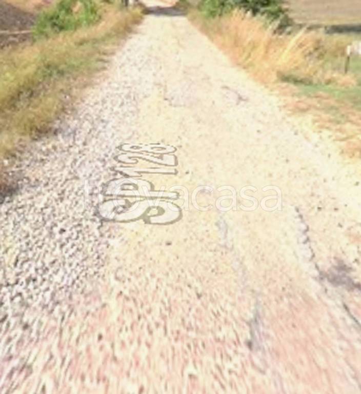 immagine annuncio 8 di 11