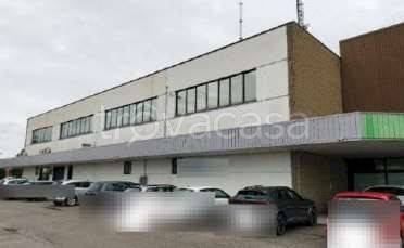 immagine annuncio 4 di 9