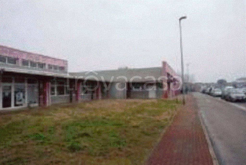 immagine annuncio 5 di 13