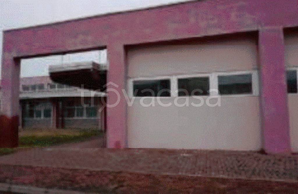 immagine annuncio 7 di 13