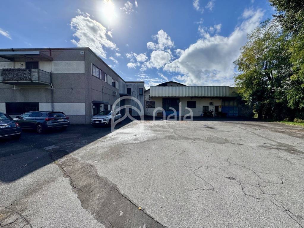 immagine annuncio 2 di 15