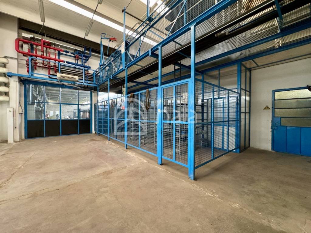 immagine annuncio 9 di 15