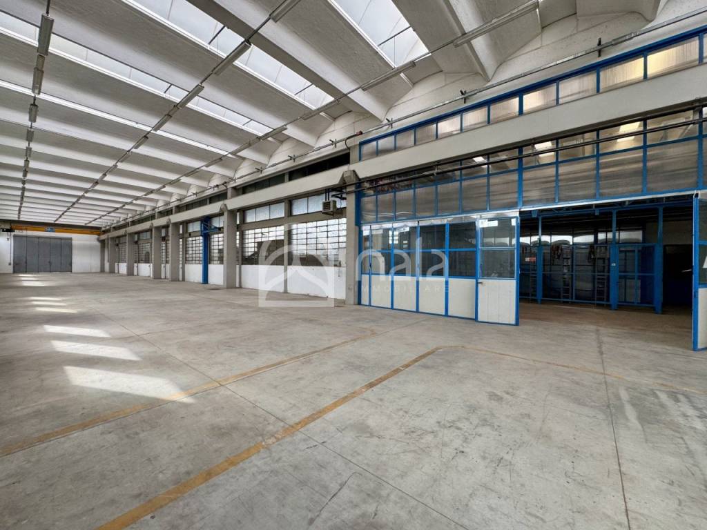 immagine annuncio 10 di 15