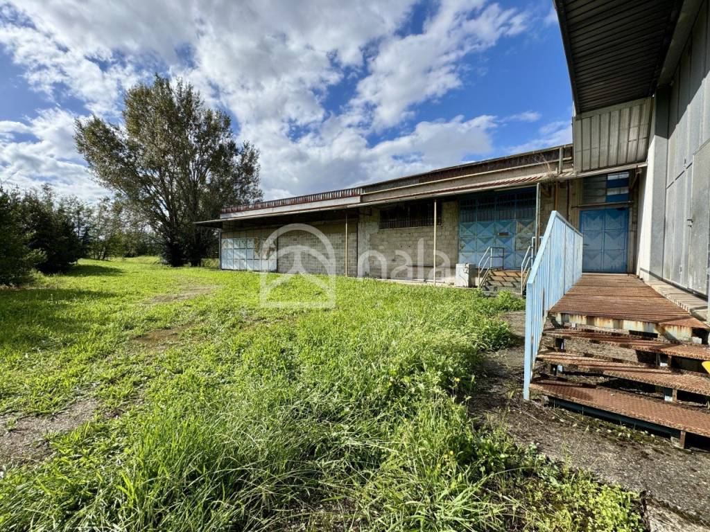 immagine annuncio 14 di 15