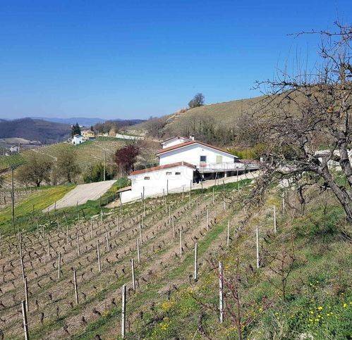 immagine annuncio 2 di 14