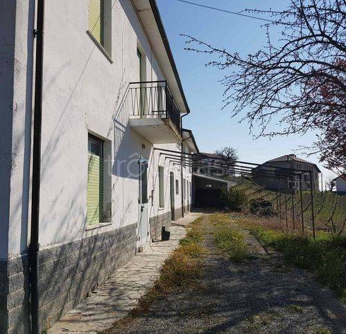 immagine annuncio 11 di 14