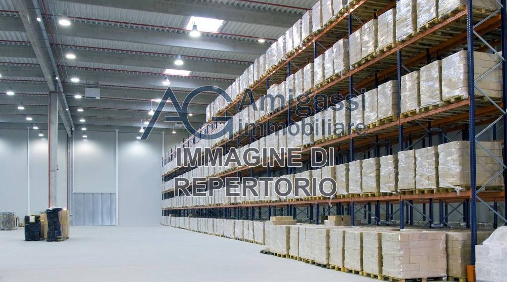 immagine annuncio 8 di 14