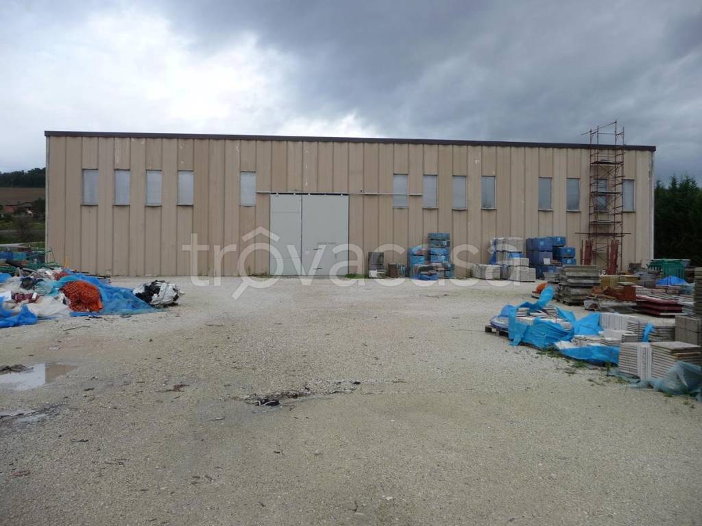 immagine annuncio 2 di 11