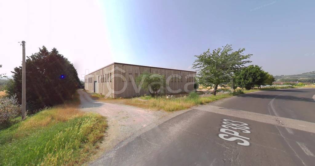 immagine annuncio 8 di 11