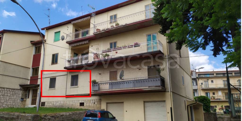 immagine annuncio 6 di 11