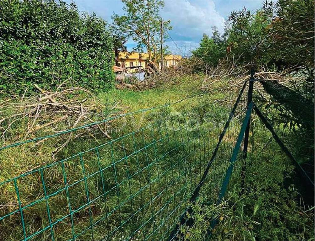 immagine annuncio 4 di 8