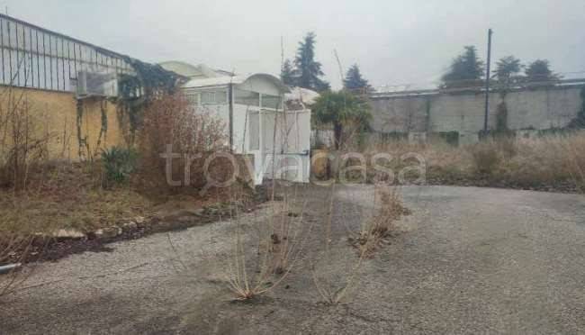 immagine annuncio 6 di 12