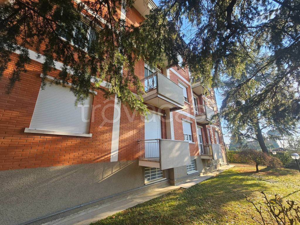 immagine annuncio 12 di 14