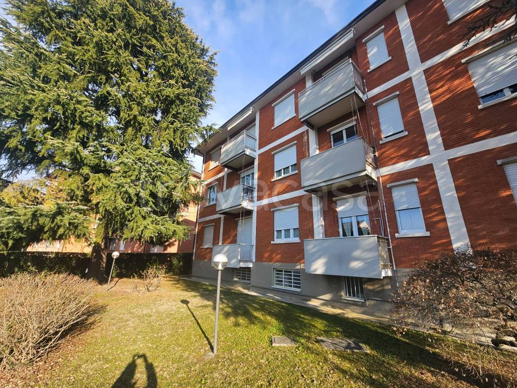 immagine annuncio 13 di 14