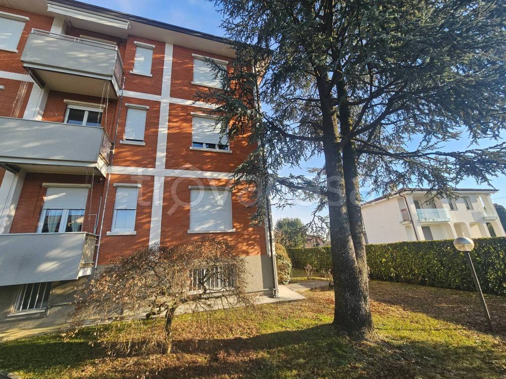 immagine annuncio 11 di 14