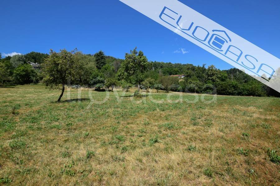 immagine annuncio 6 di 8