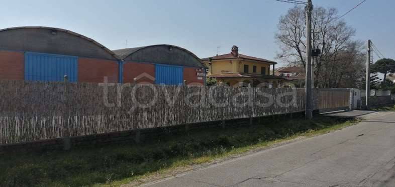 immagine annuncio 6 di 11