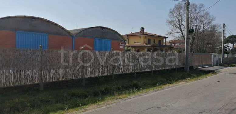 immagine annuncio 7 di 11