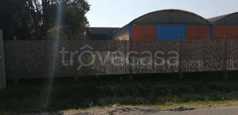 immagine annuncio 9 di 11