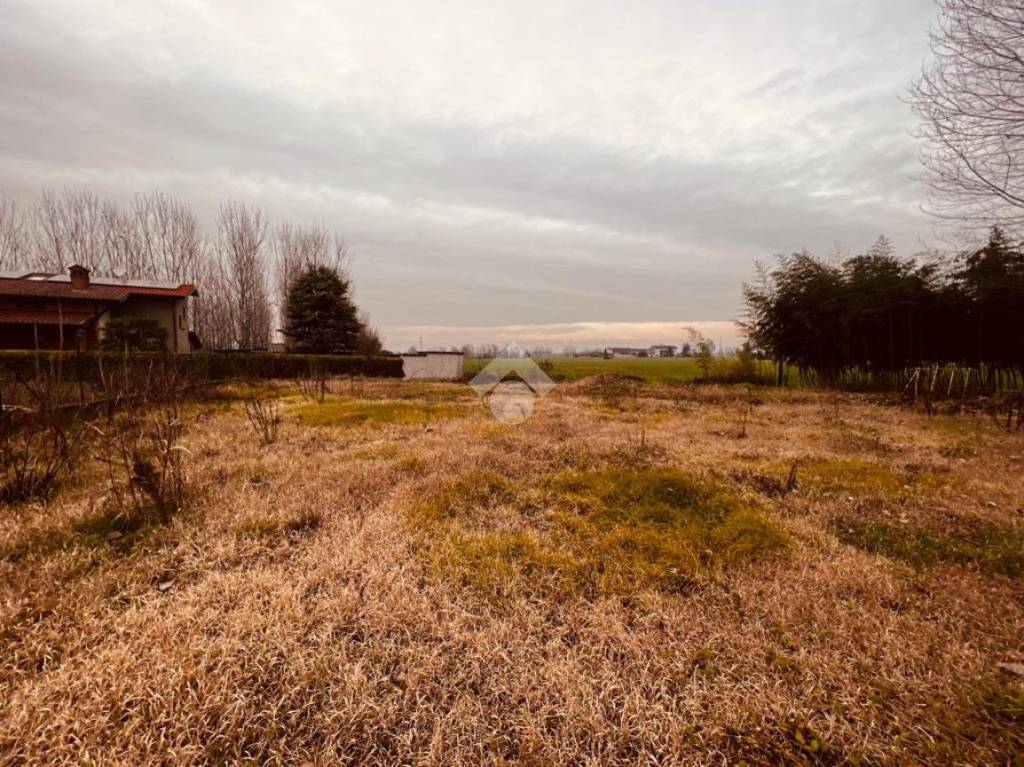 immagine annuncio 2 di 7