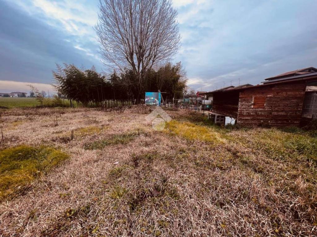 immagine annuncio 3 di 7