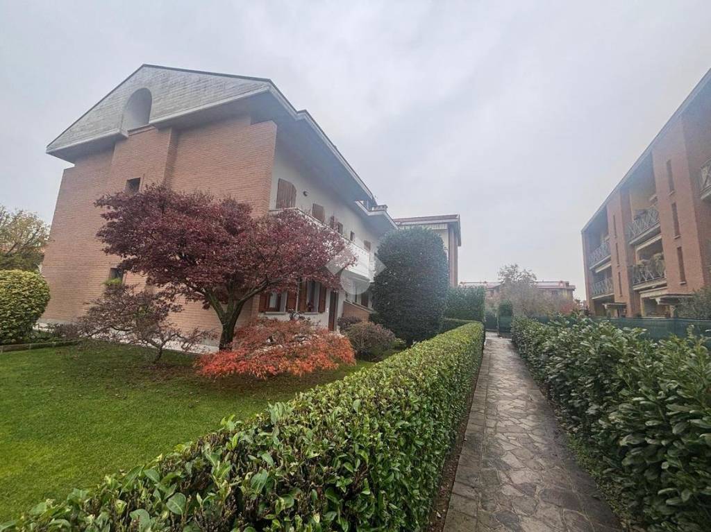 immagine annuncio 1 di 12