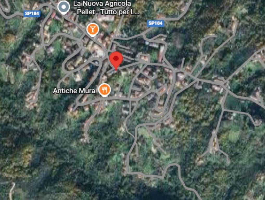 immagine annuncio 5 di 11