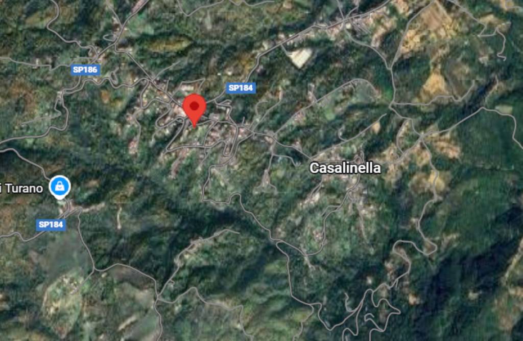 immagine annuncio 6 di 11