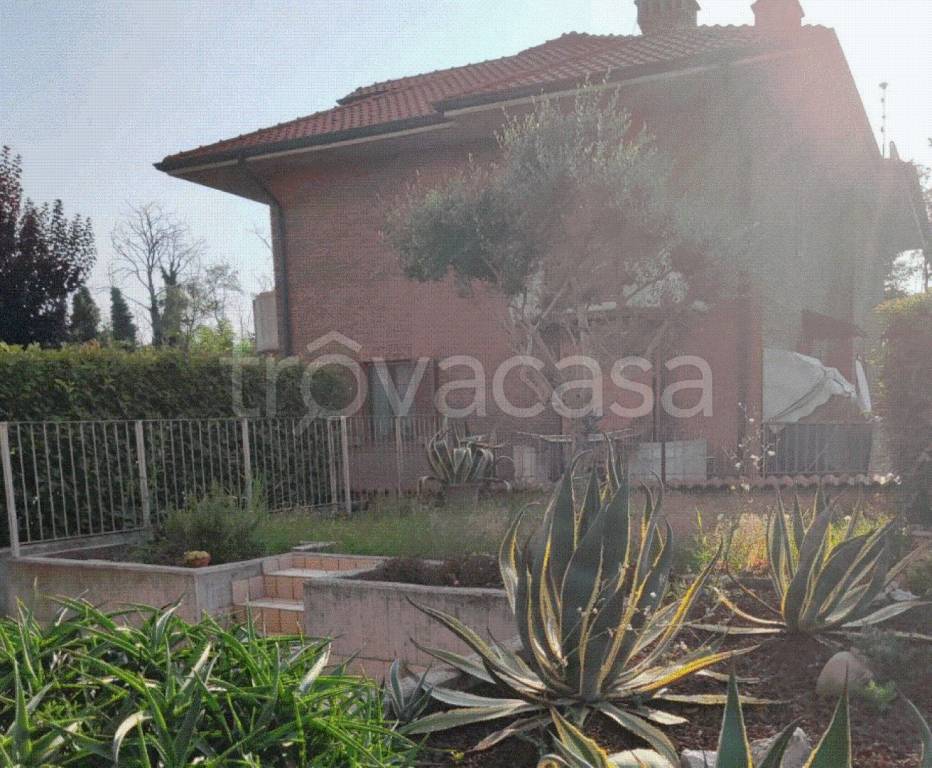 immagine annuncio 2 di 11