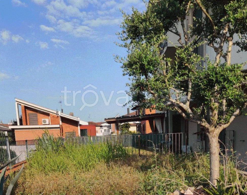 immagine annuncio 5 di 11