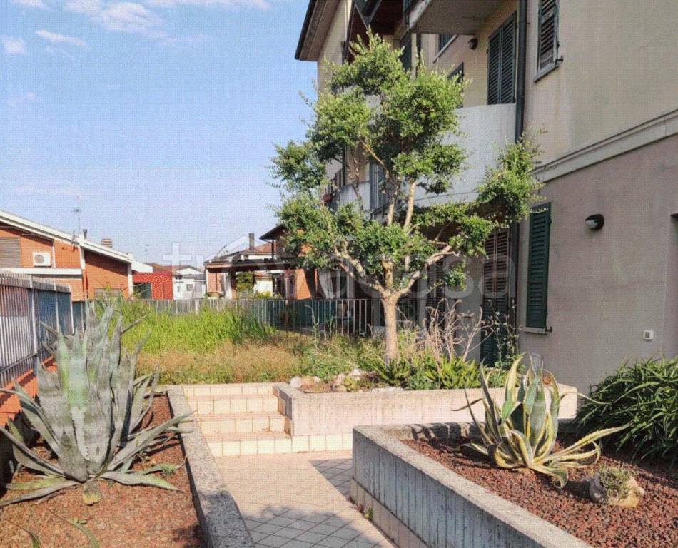 immagine annuncio 10 di 11