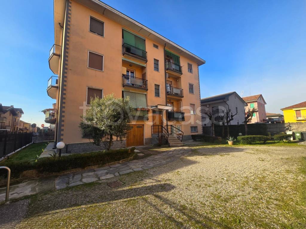 immagine annuncio 1 di 15