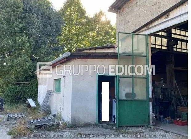 immagine annuncio 3 di 15