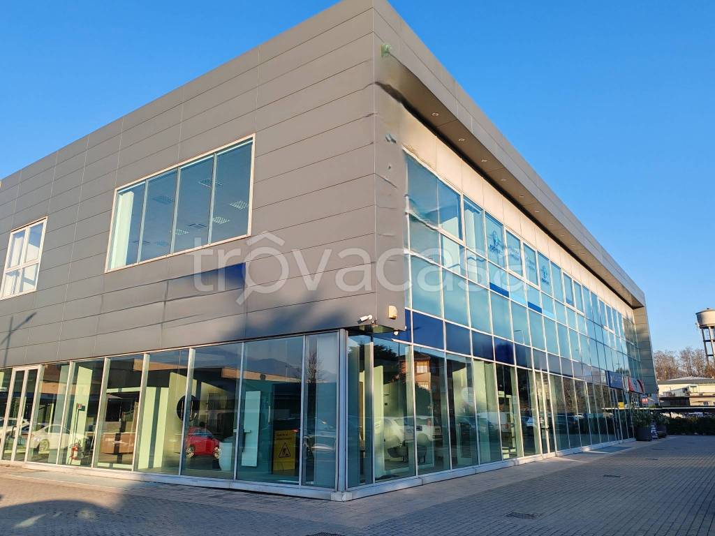 immagine annuncio 5 di 11