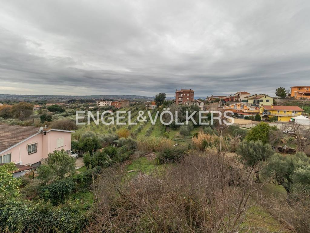 immagine annuncio 11 di 14