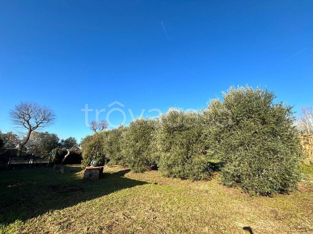 immagine annuncio 2 di 9