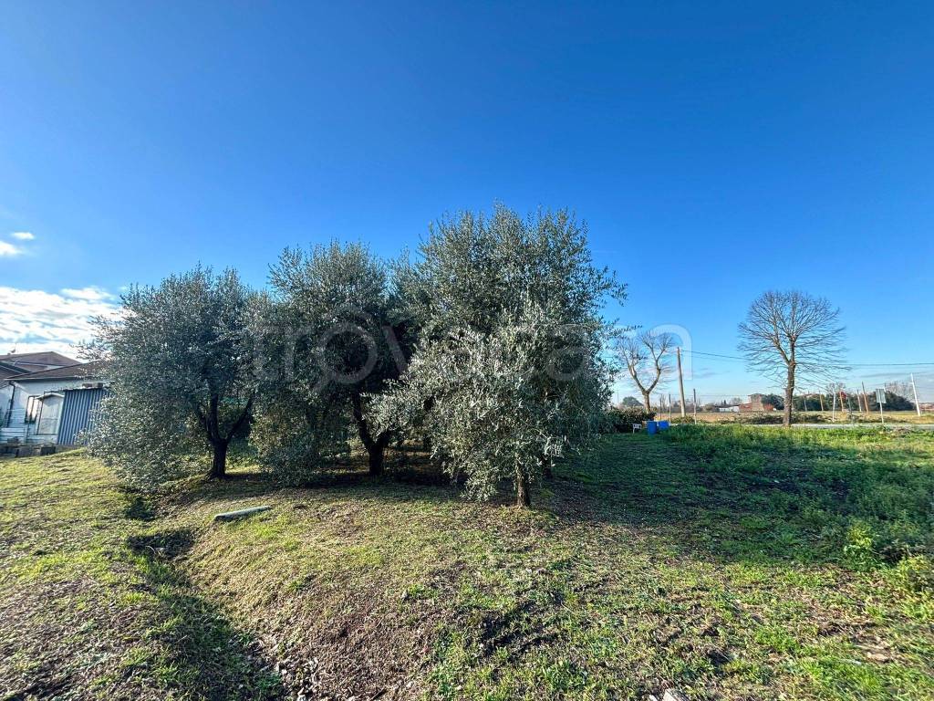 immagine annuncio 3 di 9