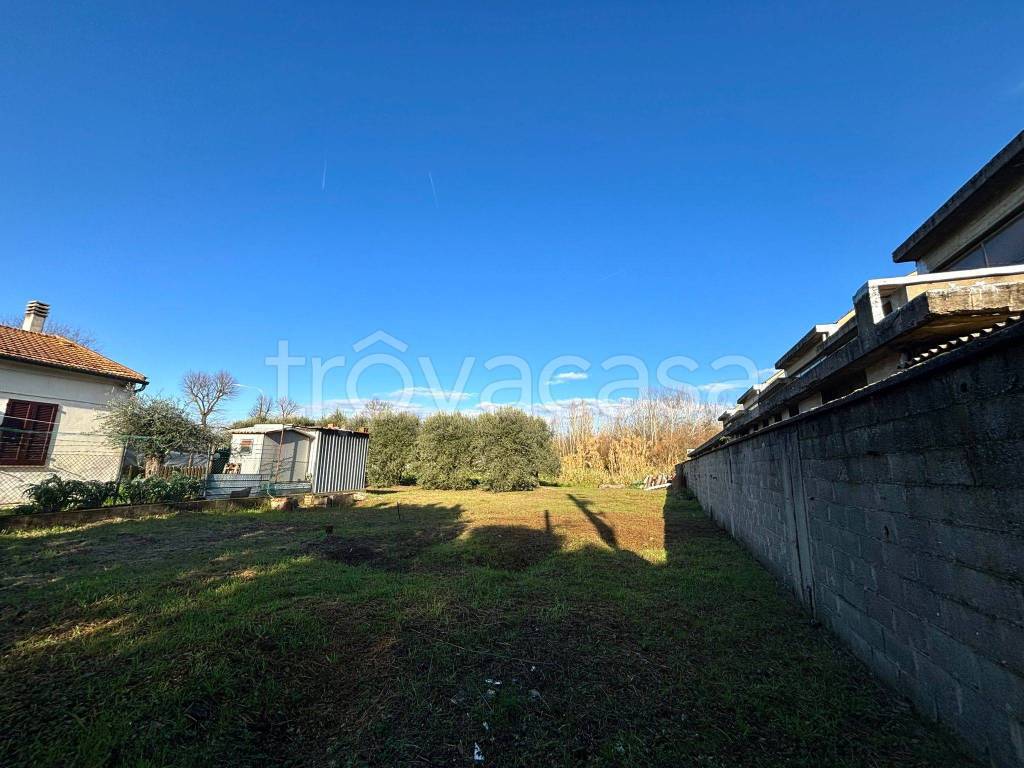 immagine annuncio 6 di 9