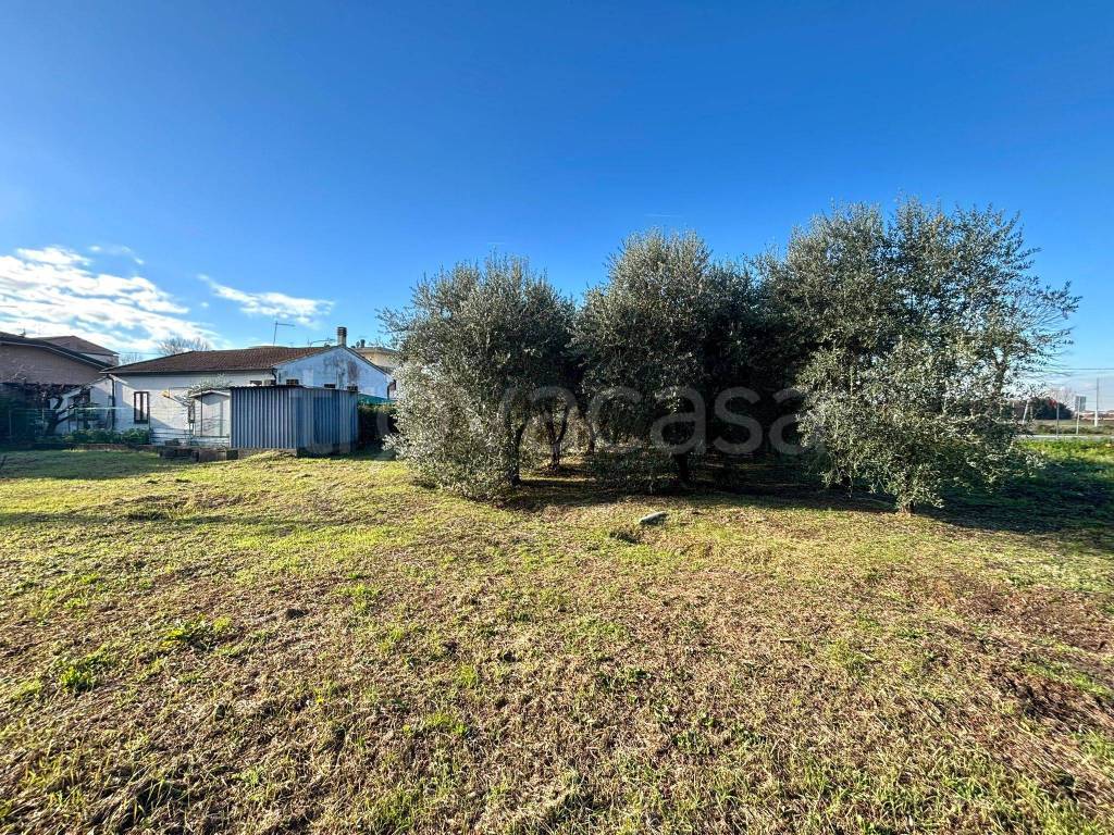 immagine annuncio 7 di 9