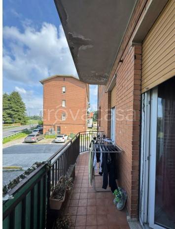 immagine annuncio 6 di 12