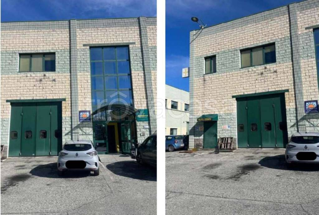 immagine annuncio 1 di 12