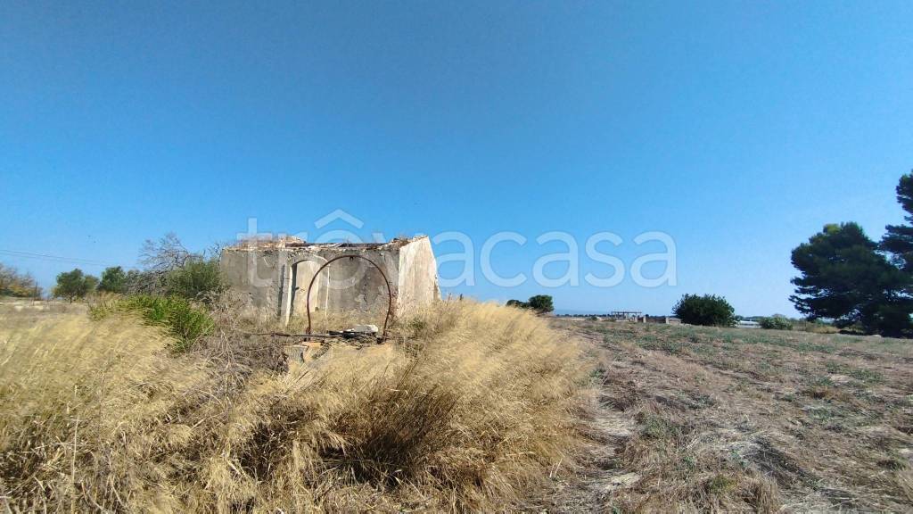 immagine annuncio 10 di 12